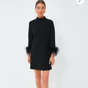 Tuckernuck feather dress
